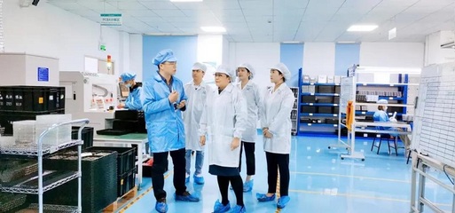 攜手共進，共創未來——深圳擔保集團蒞臨云里物里考察指導軟件開發工作